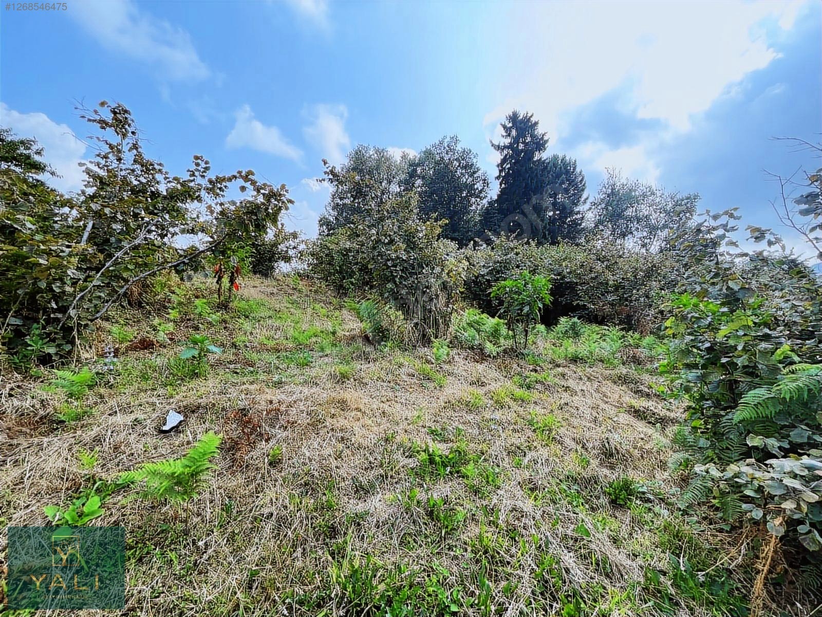 GİRESUN MERKEZ YALIKÖY MEVKİİ SATILIK ARAZİ - GİRESUN MERKEZ fotoğraf 33